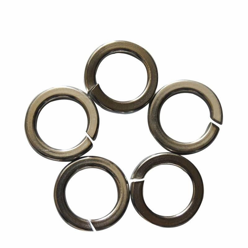 Black Color DIN127 Steel Spring Lock Washer Carriage Bolt Drywall Screws