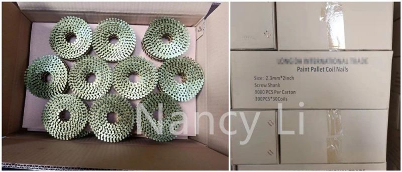 15-Degree Screw Diamond Point/Blunt Chisel Pallet Coil Nails 9m