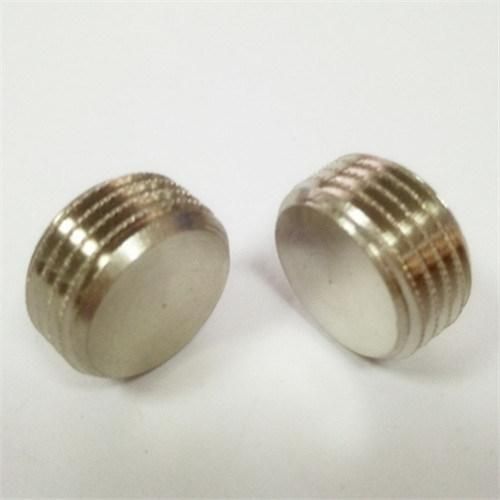 Surface Plating Brass Hasco Standard Screw Pipe Plugs