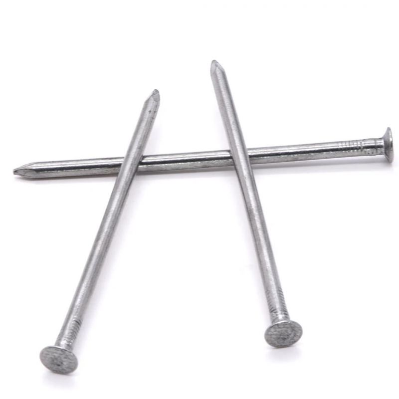 Kenya Ethiopia Market/Wire Nail Gypsum Screw Hex Head Self Drilling Screw Wood Nails