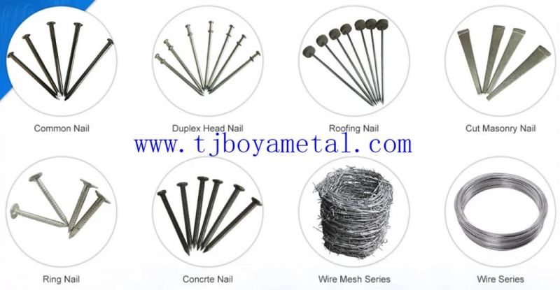 Direct Factory Cheapest Price Common Round Wire Nails 1"-6"25kg Box China