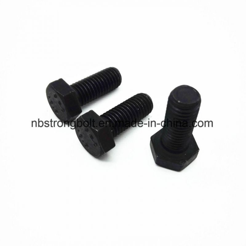 Hex Bolt Black Screw More Than 10 Years Produce Expricence Factory
