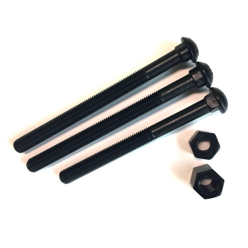 China Track Bolt and Nut Rail Way Black & SS304 SS316 Bolt