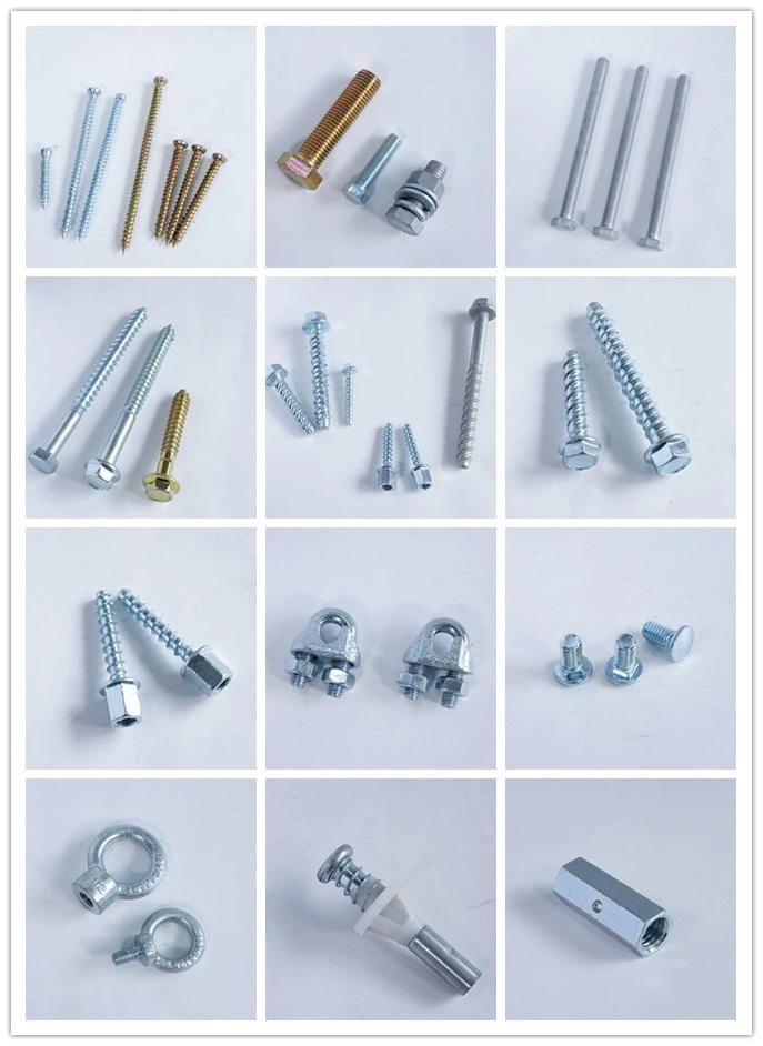 Csk Pan Head Flat Head, Torx T30, Pozi, Phillips, Slotted, Square Screw, Bolt