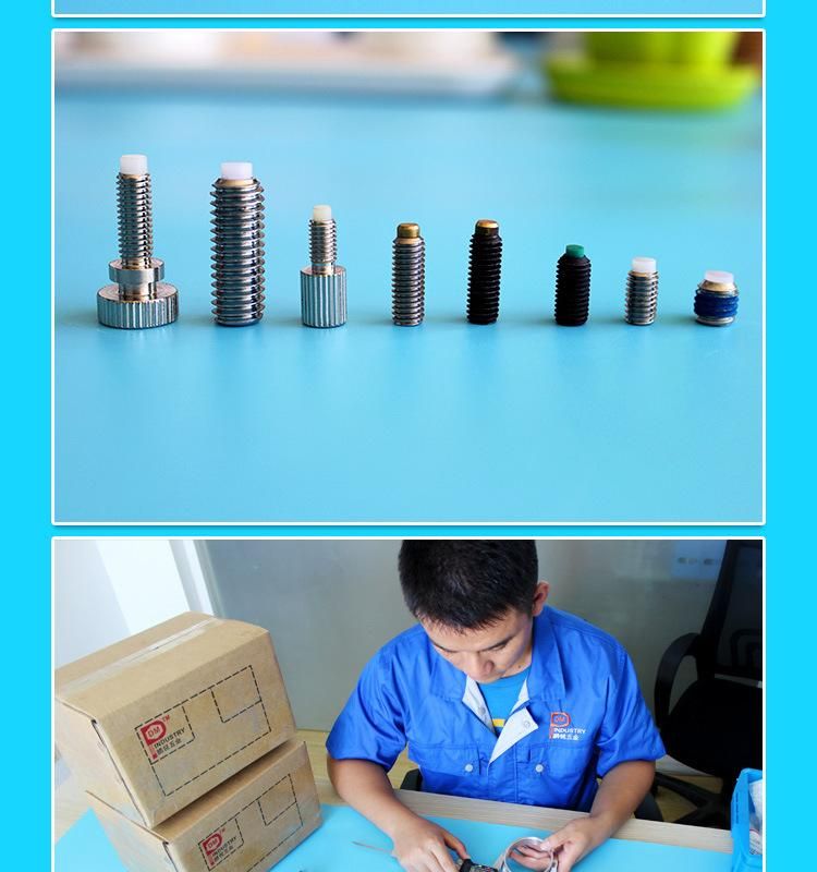 Stainless Steel Soft Nylon Tip Socket Set Screw Brass Tip Set Screw Set Screw with Soft Tip Set Screw with Nylon Tip Hex Head Set Screw Hex Socket Set Screw