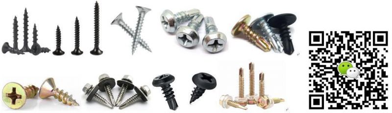 China Products Suppliers/Roofing Screw/Chinese Factory Direct Hot Sale All Kinds of Head Type Full Size Self Drilling Screw