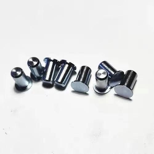 Custom Design Stainless Steel Self Clinching Pilot Pin