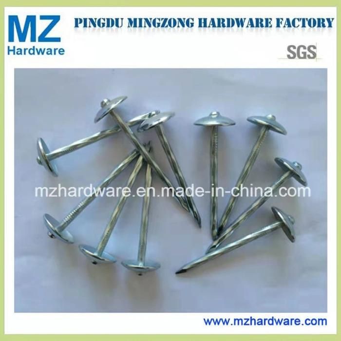 Umbrella Head Galvanized Roofing Nail From Factory