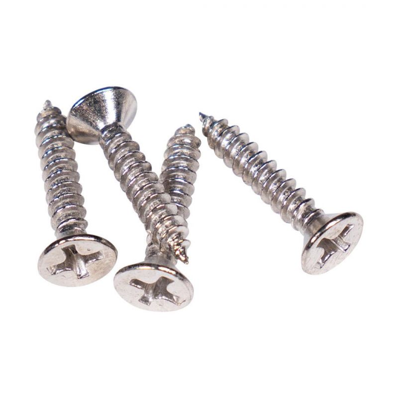 Factory Directly Supply Self Tappiing Screw Csk Philip Head Np Hot Sale Wholesale Price Good Service