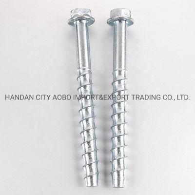 China Hot Sale Custom Concrete Screw Bolt in Anchor