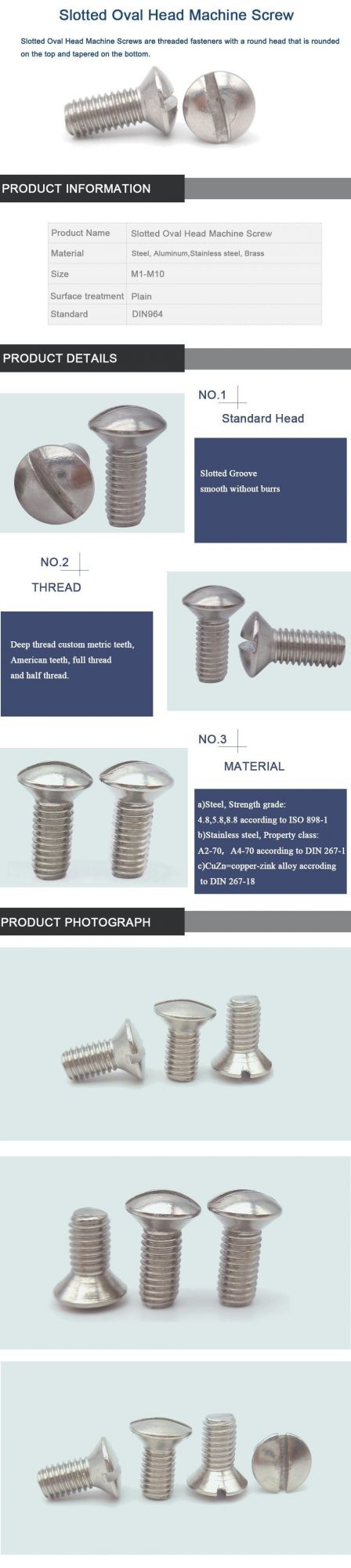 Structural Stainless Steel 304 Slotted Screw Raised Head Screw Machine Screw DIN964 ISO 2010