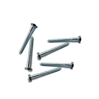 Hexgon Head Lag Screw with Zp