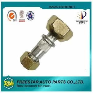 Fxd Simple Style Manufacturer Galvanized Nut &amp; Bolts for Isuzu
