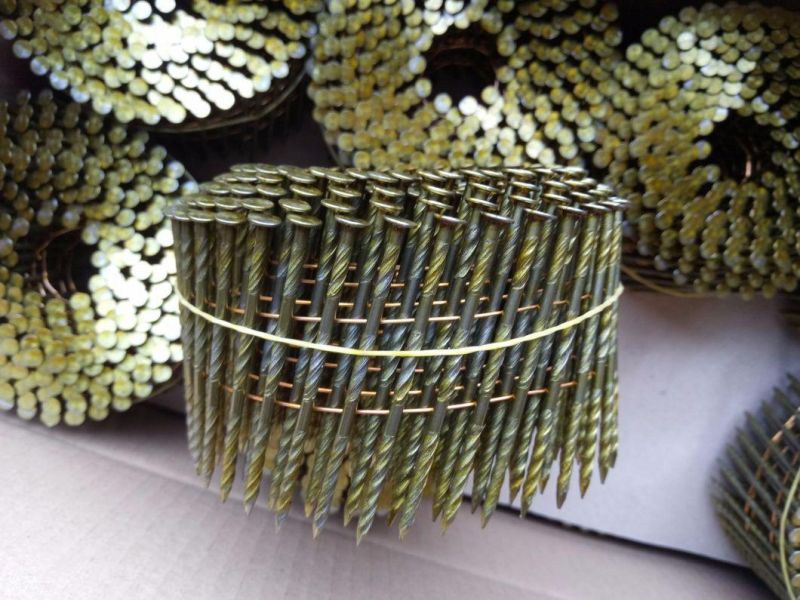 Wire Collated Coil Nail for Making Wooden Pallet and Frame in Size 2.5mm X 65mm