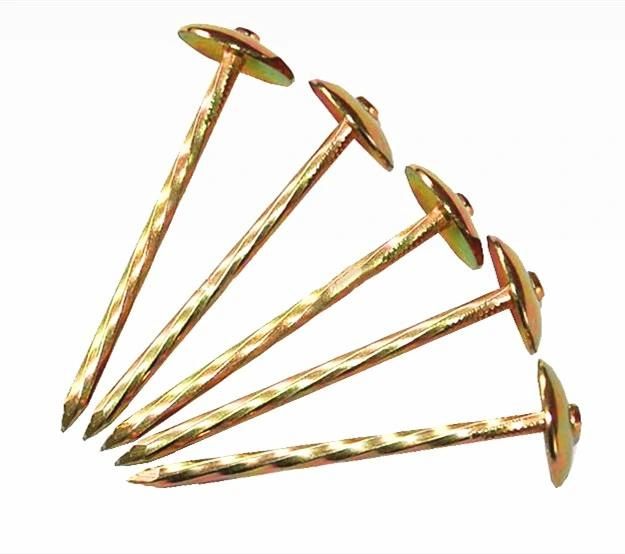 Color Zinc Plated Steel Umbrella Head Nails Roofing Nail Mushroom Nails
