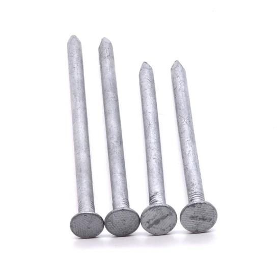 Q195 Galvanized Common Nail with High Quality