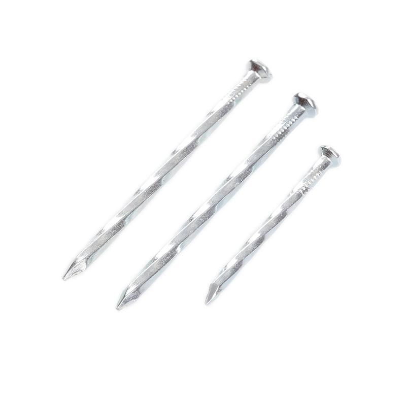 Professional Angular Spiral Steel Concrete Nails Wire Nail Suppliers