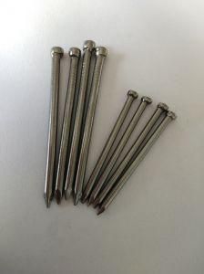 Common Nail Headless Iron Nails