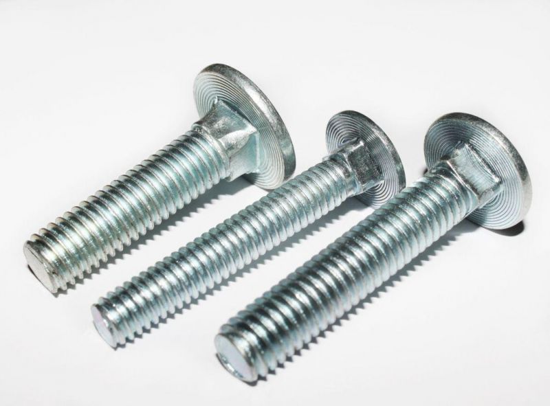 ASME Carriage Bolt/ Round Head Square Neck Bolt/Mushroom Head Bolt/ Coach Bolt Gr. 2, 5, 8, Zinc Plated