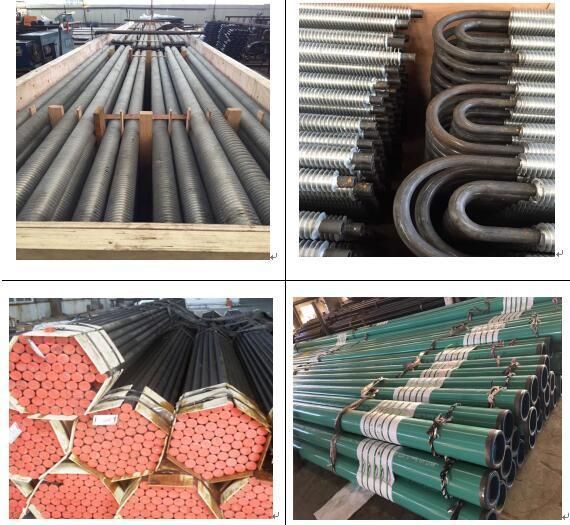 Stainless Steel Tube Sheet /Forge Part/Tube Sheet