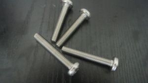 Plum Pan Head Machine Screw in A4 Stainless