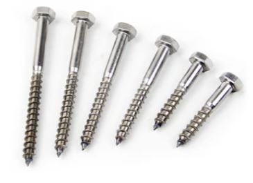 DIN/GB/ASTM China Stainless Steel Wood Screw (DIN7997)