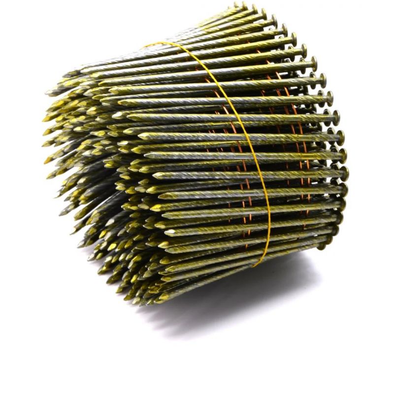 Stainless Steel Common Electro Galvanized Steel Iron Roof Coil Nail Roofing Wire Nails