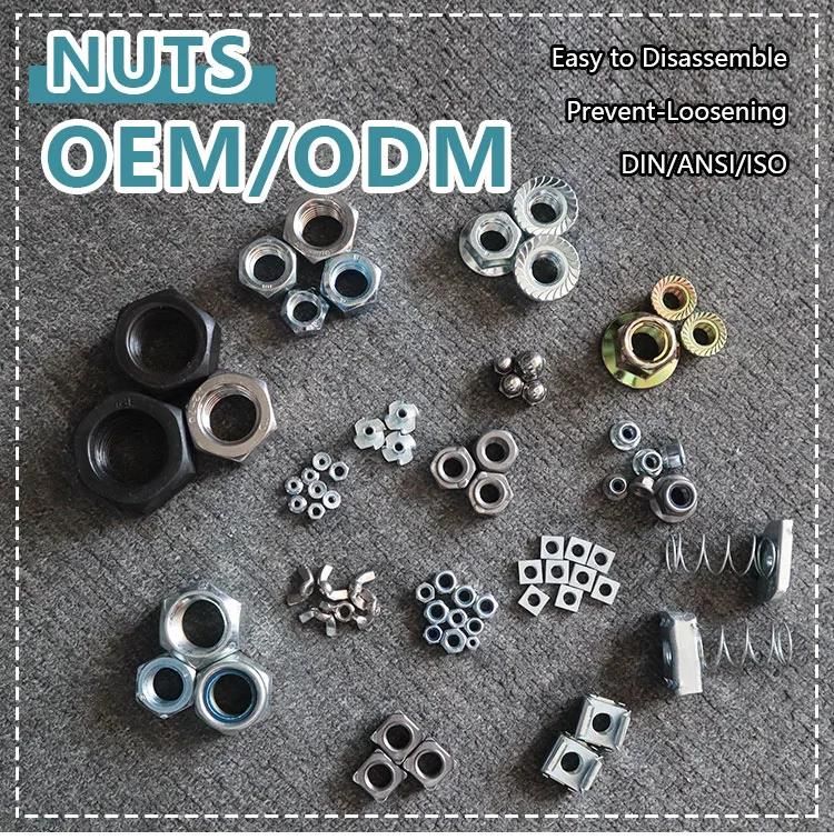 Stainless Steel Channel Nuts with Long Spring