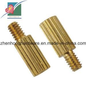 Copper Screw Round Head Copper Material Screws (ZH-SS-020)