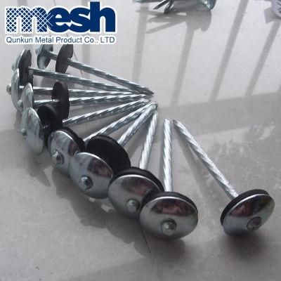 Common Nails Factory Low Price Roof Nail with Umbrella Head