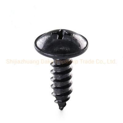 Car Clips/Auto Parts Stainless Steel Start Self Tapping Metal Screw Pan Socket Head