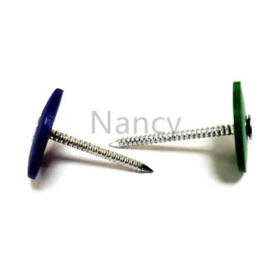 3/4&quot;X12g Electro-Galvanized Plastic Cap Roofing Nails 2000 Piece