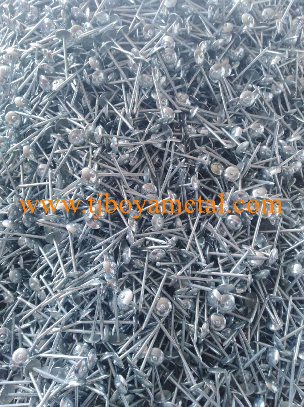 Twisted Shank Umbrella Head Galvanized Roofing Nails with Rubber Washer