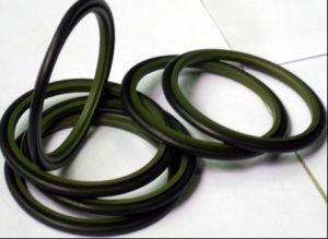 Delicate Polytetrafluoroethylene Sitefeng Oil Seal