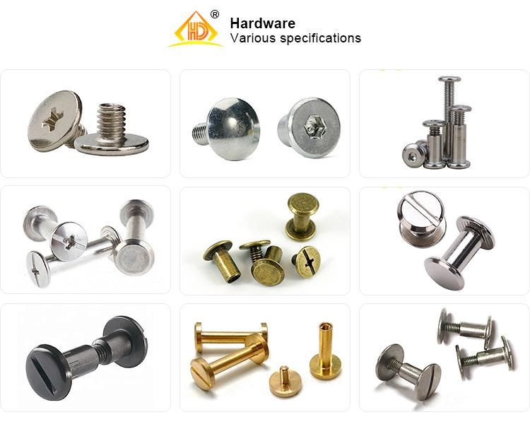 High Quality Stainless Steel Chicago Screws Assorted Screws