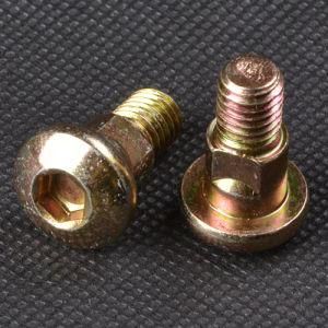 Carriage Screw with Zinc Plated (CZ479)