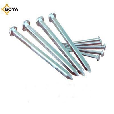 Factory Supply Electro Galvanized Square Boat Nail for Building