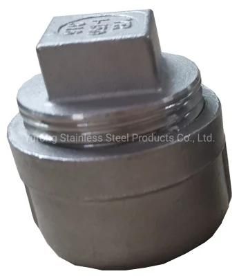 Stainless Steel 304/316, Pipe Fittings, Male Fitting, Square Head Plug