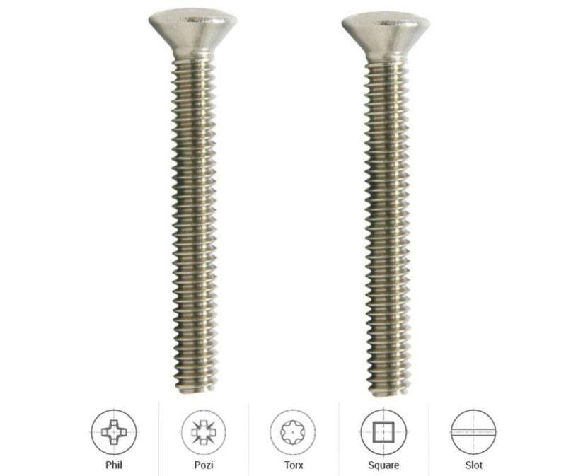 Oval Head Stainless Steel Phillips Drive Machine Screw