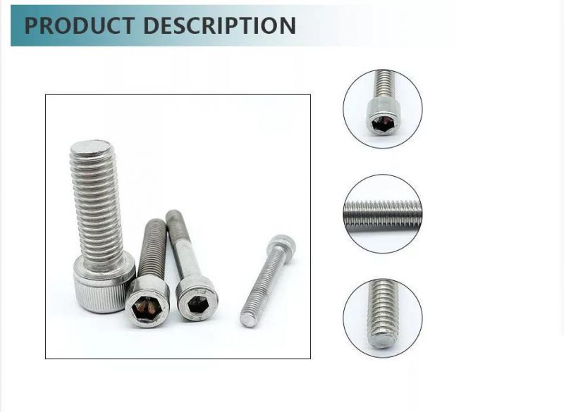 Stainless Steel SS304 SS316 DIN 933/Hex Bolt Nut/Carriage Bolt DIN603/Flange Bolt DIN6921/ T Hammer Bolt/ Eye Bolt DIN444 / U Bolt / Allen Bolt DIN912