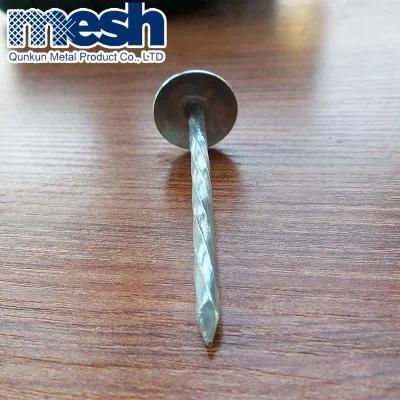 Galvanized Umbrella Roofing Nails 2inches Bwg12