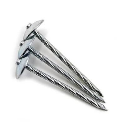HD Galvanised 3&quot; X 9ga 25kg Box Roofing Nails with Umbrella Head /Jolt Head Nails /Roofing Nails