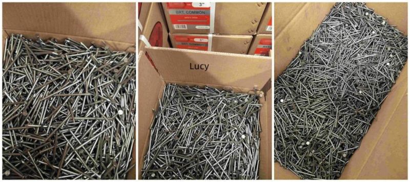 Galvanized Steel Lost Head Nail / Brad Nail / Bullet Head Nail