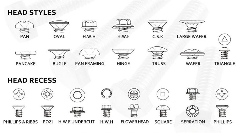 Obm/ODM/OEM Stainless Steel 304 Cross Recessed Pan Head Machine Screw, Phillips Round Head Machine Screw Bolt