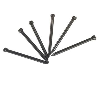 Popular Product on Sale Polished Jolthead Nail