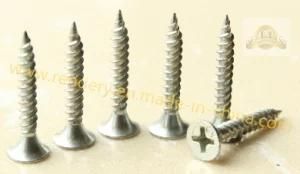 Drywall Screw with White Galvanized