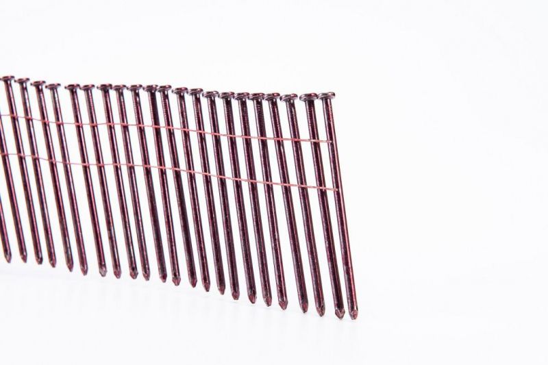 Wooden Pallet Coil Nails Screw Shank Manufacturer