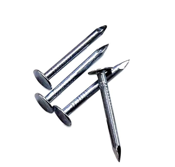 High Quality Gi Clout Nail Roofing Nail of Guangzhou Supplier