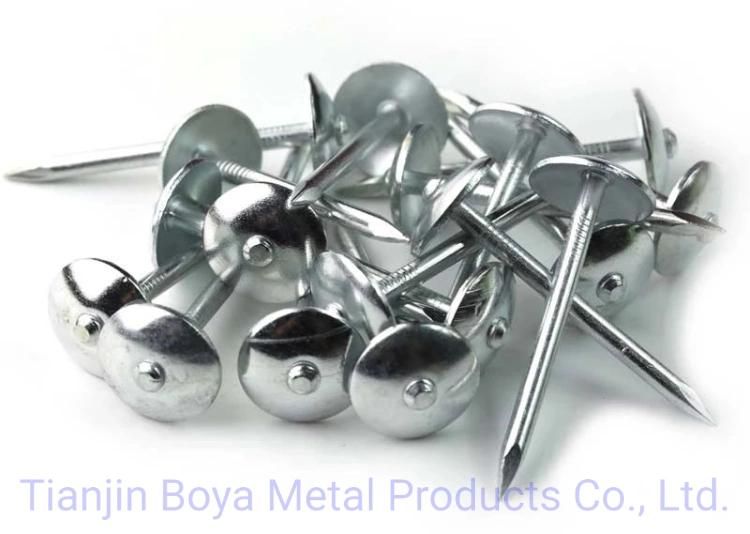 Direct Factory Hot Sale Q235 Galvanized Corrugated Sheet Nails Q195 Twisted & Smooth Shank Umbrella Head Roofing Nails