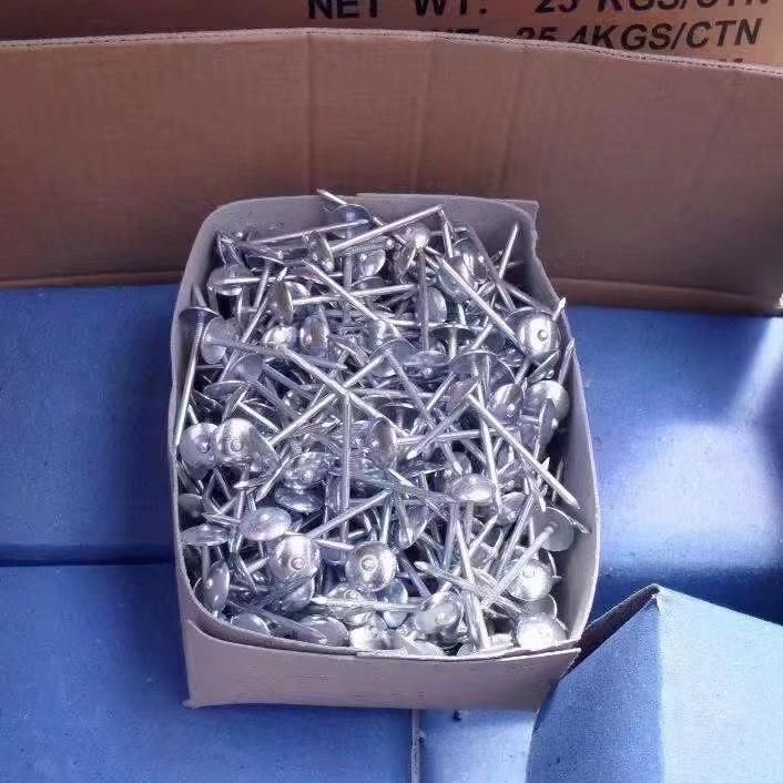 2" Small Packing Umbrella Head Roofing Nails for The Supermarket